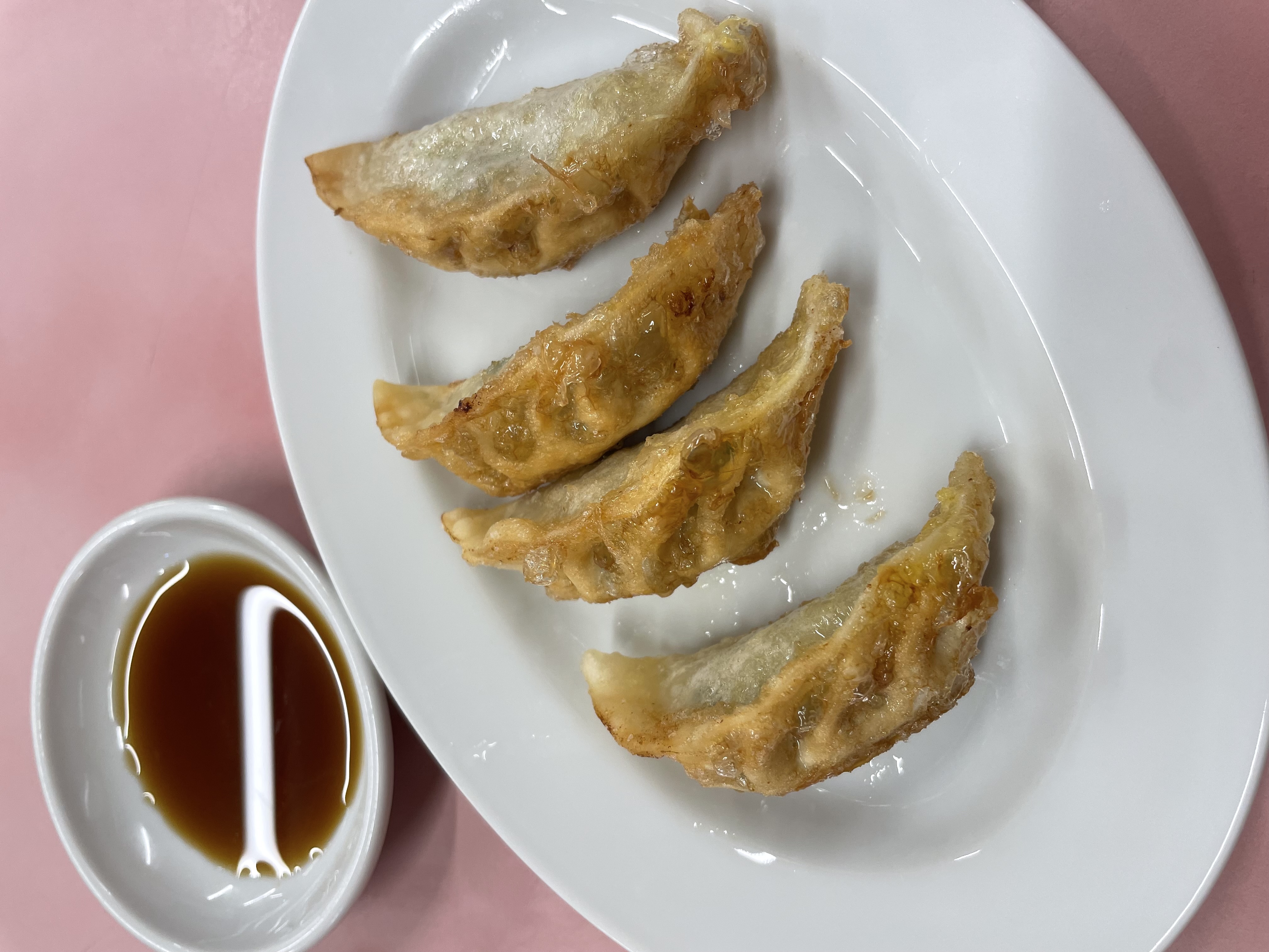 揚げ餃子の画像
